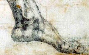 Foot Drawing